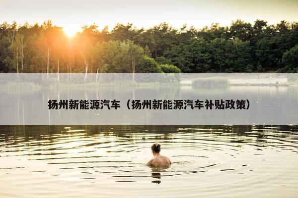 扬州新能源汽车（扬州新能源汽车补贴政策）