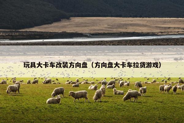 玩具大卡车改装方向盘（方向盘大卡车拉货游戏）
