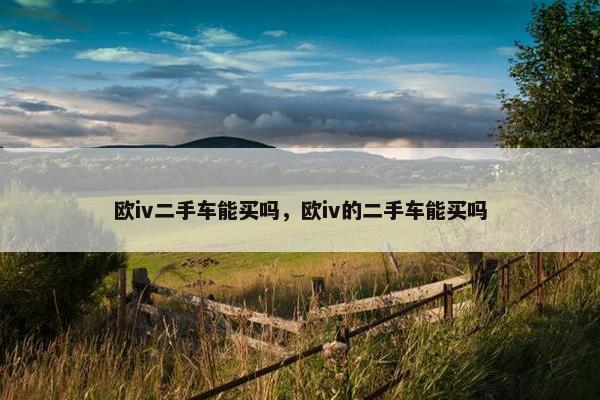 欧iv二手车能买吗，欧iv的二手车能买吗