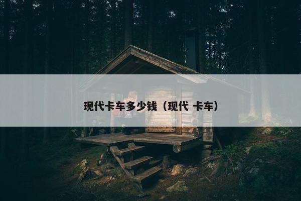 现代卡车多少钱（现代 卡车）