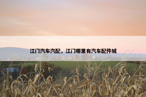 江门汽车汽配，江门哪里有汽车配件城