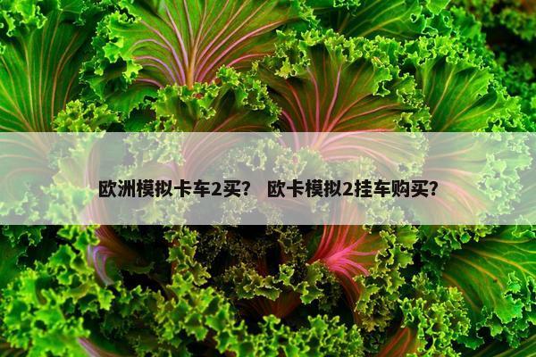 欧洲模拟卡车2买？ 欧卡模拟2挂车购买？