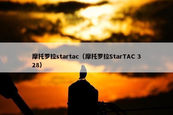 摩托罗拉startac（摩托罗拉StarTAC 328）