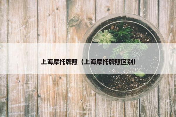 上海摩托牌照（上海摩托牌照区别）
