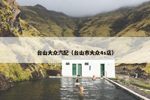 台山大众汽配（台山市大众4s店）