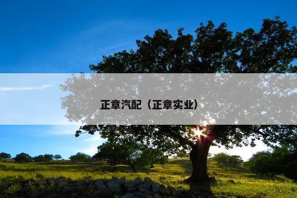 正章汽配（正章实业）
