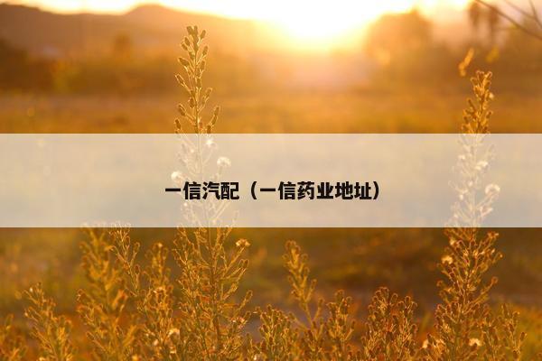 一信汽配（一信药业地址）