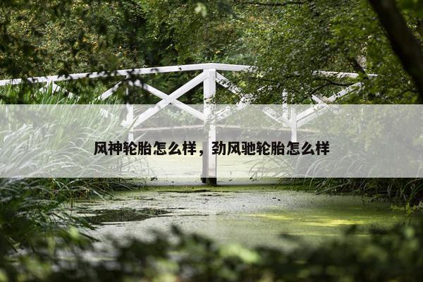 风神轮胎怎么样，劲风驰轮胎怎么样