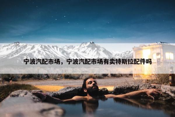 宁波汽配市场，宁波汽配市场有卖特斯拉配件吗