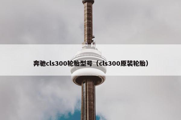 奔驰cls300轮胎型号（cls300原装轮胎）