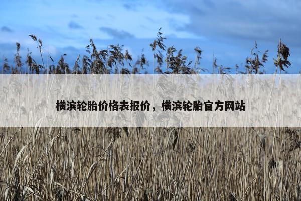 横滨轮胎价格表报价，横滨轮胎官方网站