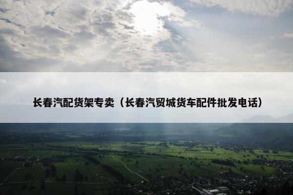 长春汽配货架专卖（长春汽贸城货车配件批发电话）