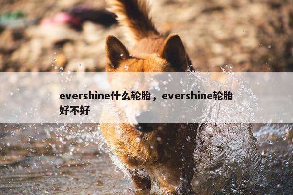 evershine什么轮胎，evershine轮胎好不好