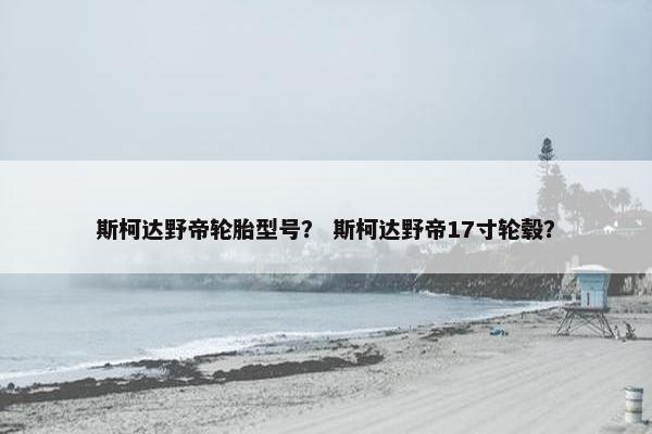 斯柯达野帝轮胎型号？ 斯柯达野帝17寸轮毂？