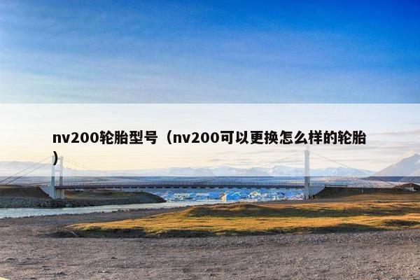 nv200轮胎型号（nv200可以更换怎么样的轮胎）