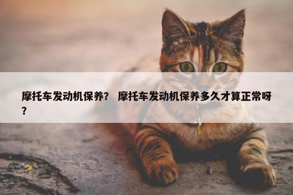 摩托车发动机保养？ 摩托车发动机保养多久才算正常呀？