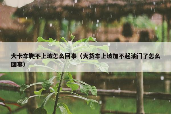 大卡车爬不上坡怎么回事（大货车上坡加不起油门了怎么回事）
