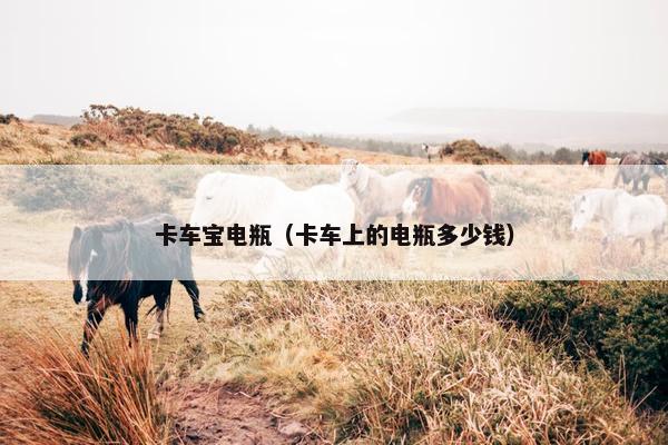 卡车宝电瓶（卡车上的电瓶多少钱）