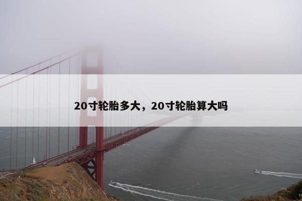 20寸轮胎多大，20寸轮胎算大吗