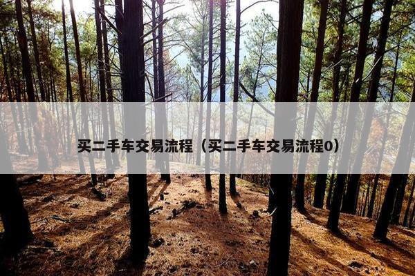 买二手车交易流程（买二手车交易流程0）