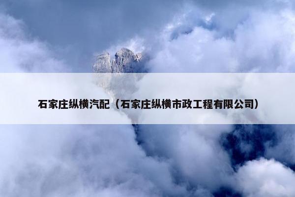 石家庄纵横汽配（石家庄纵横市政工程有限公司）