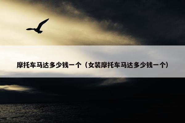 摩托车马达多少钱一个（女装摩托车马达多少钱一个）
