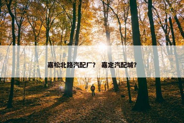 嘉松北路汽配厂？ 嘉定汽配城？