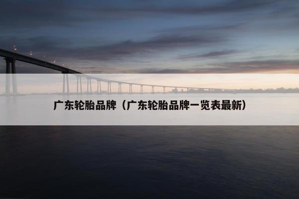广东轮胎品牌（广东轮胎品牌一览表最新）