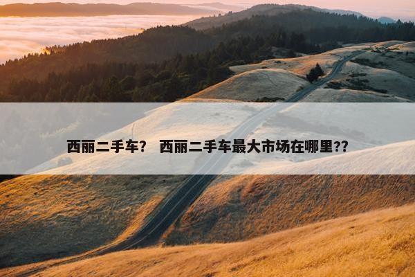 西丽二手车？ 西丽二手车最大市场在哪里?？