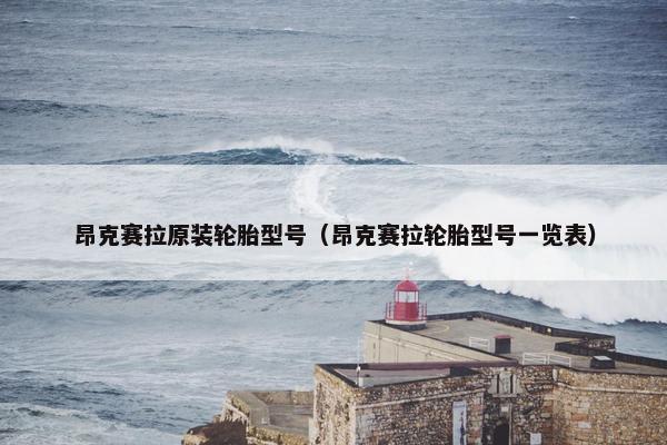 昂克赛拉原装轮胎型号（昂克赛拉轮胎型号一览表）