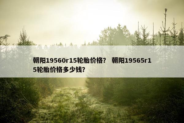 朝阳19560r15轮胎价格？ 朝阳19565r15轮胎价格多少钱？
