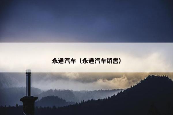 永通汽车（永通汽车销售）