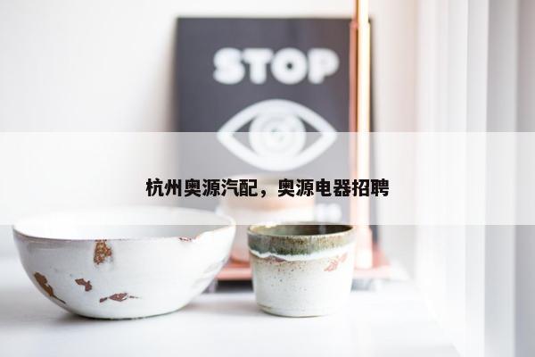 杭州奥源汽配，奥源电器招聘