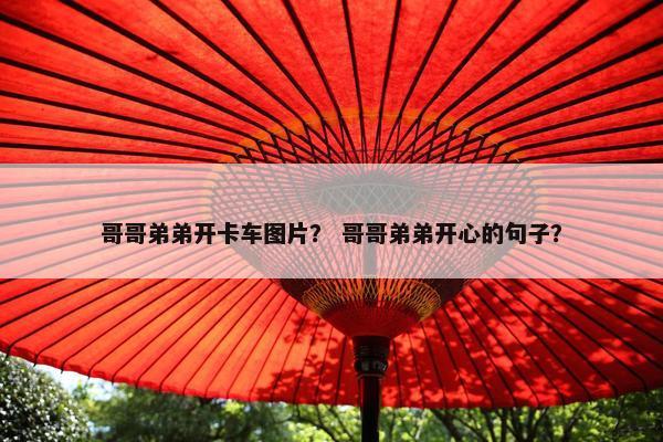 哥哥弟弟开卡车图片？ 哥哥弟弟开心的句子？