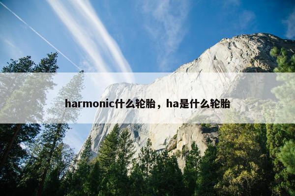 harmonic什么轮胎，ha是什么轮胎