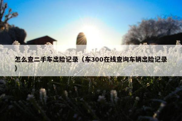 怎么查二手车出险记录（车300在线查询车辆出险记录）