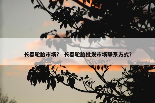 长春轮胎市场？ 长春轮胎批发市场联系方式？