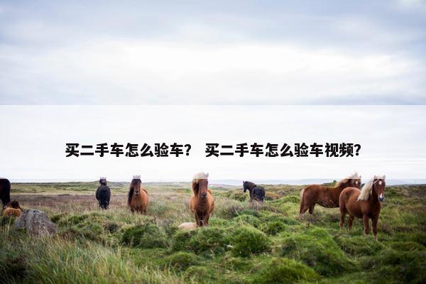 买二手车怎么验车？ 买二手车怎么验车视频？