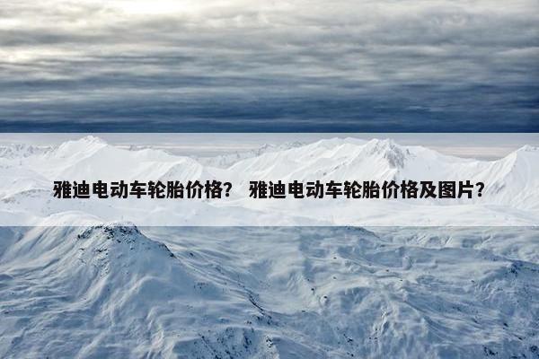雅迪电动车轮胎价格？ 雅迪电动车轮胎价格及图片？