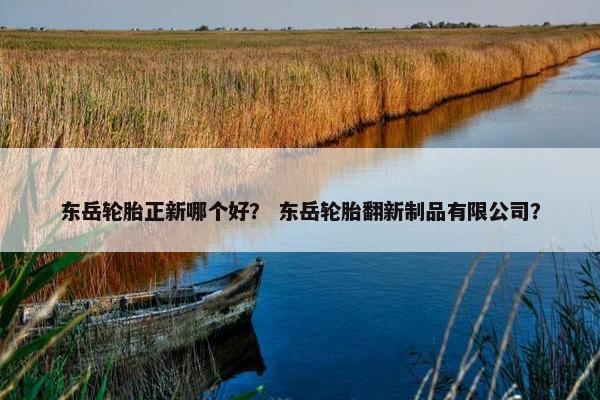 东岳轮胎正新哪个好？ 东岳轮胎翻新制品有限公司？