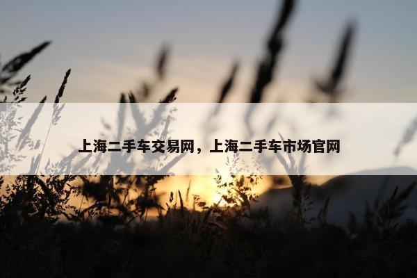上海二手车交易网，上海二手车市场官网