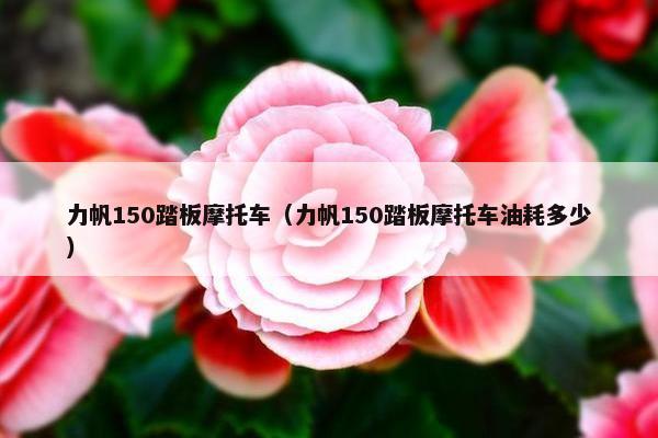 力帆150踏板摩托车（力帆150踏板摩托车油耗多少）