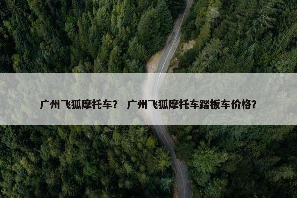 广州飞狐摩托车？ 广州飞狐摩托车踏板车价格？