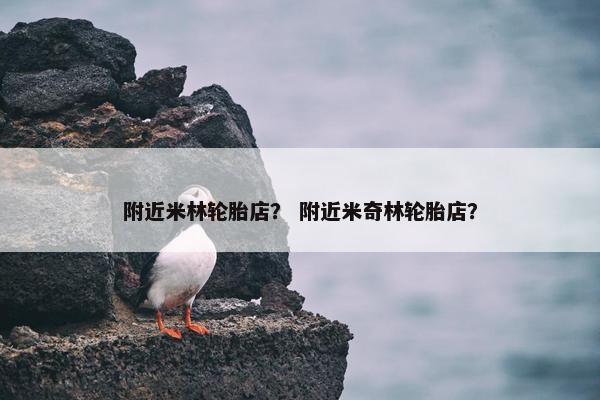 附近米林轮胎店？ 附近米奇林轮胎店？