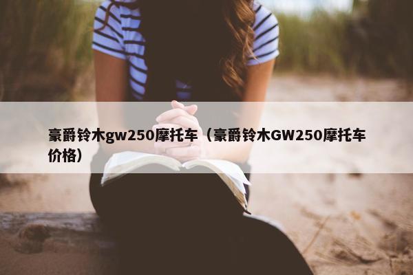 豪爵铃木gw250摩托车（豪爵铃木GW250摩托车价格）