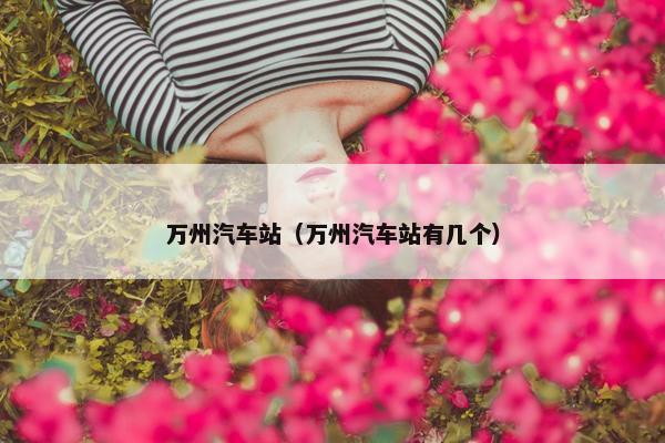 万州汽车站（万州汽车站有几个）