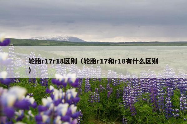 轮胎r17r18区别（轮胎r17和r18有什么区别）