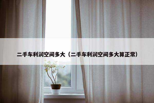 二手车利润空间多大（二手车利润空间多大算正常）