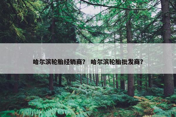 哈尔滨轮胎经销商？ 哈尔滨轮胎批发商？