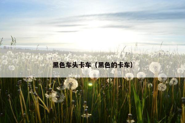黑色车头卡车（黑色的卡车）